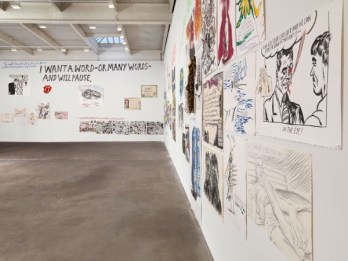 Raymond Pettibon Install